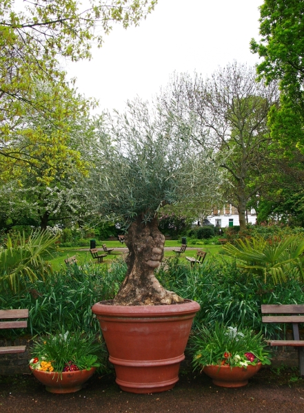 Arlington Square Gardens